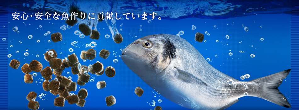 安心・安全な魚作りに貢献しています。